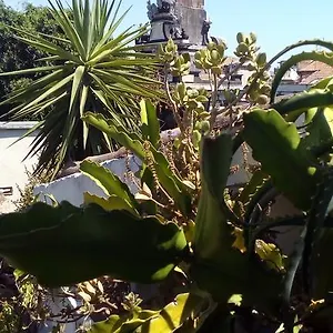 Creative , CTA Itálie